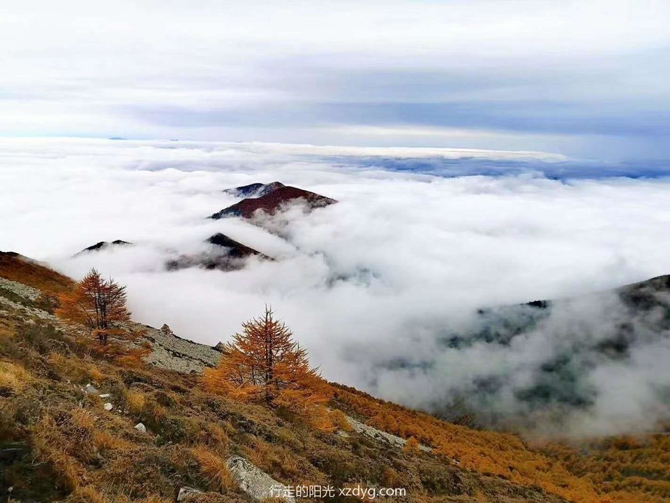 mmexport1599810371253