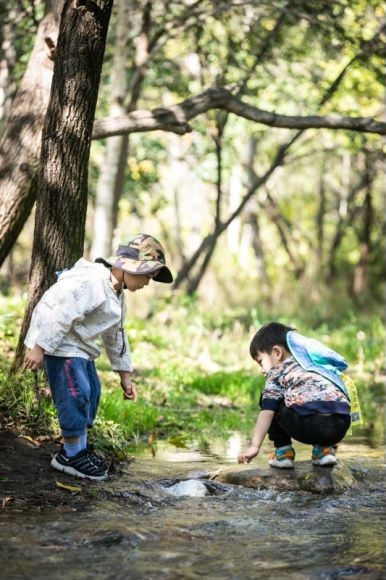 mmexport51642a2424f1a588da22f9019b4a0da5