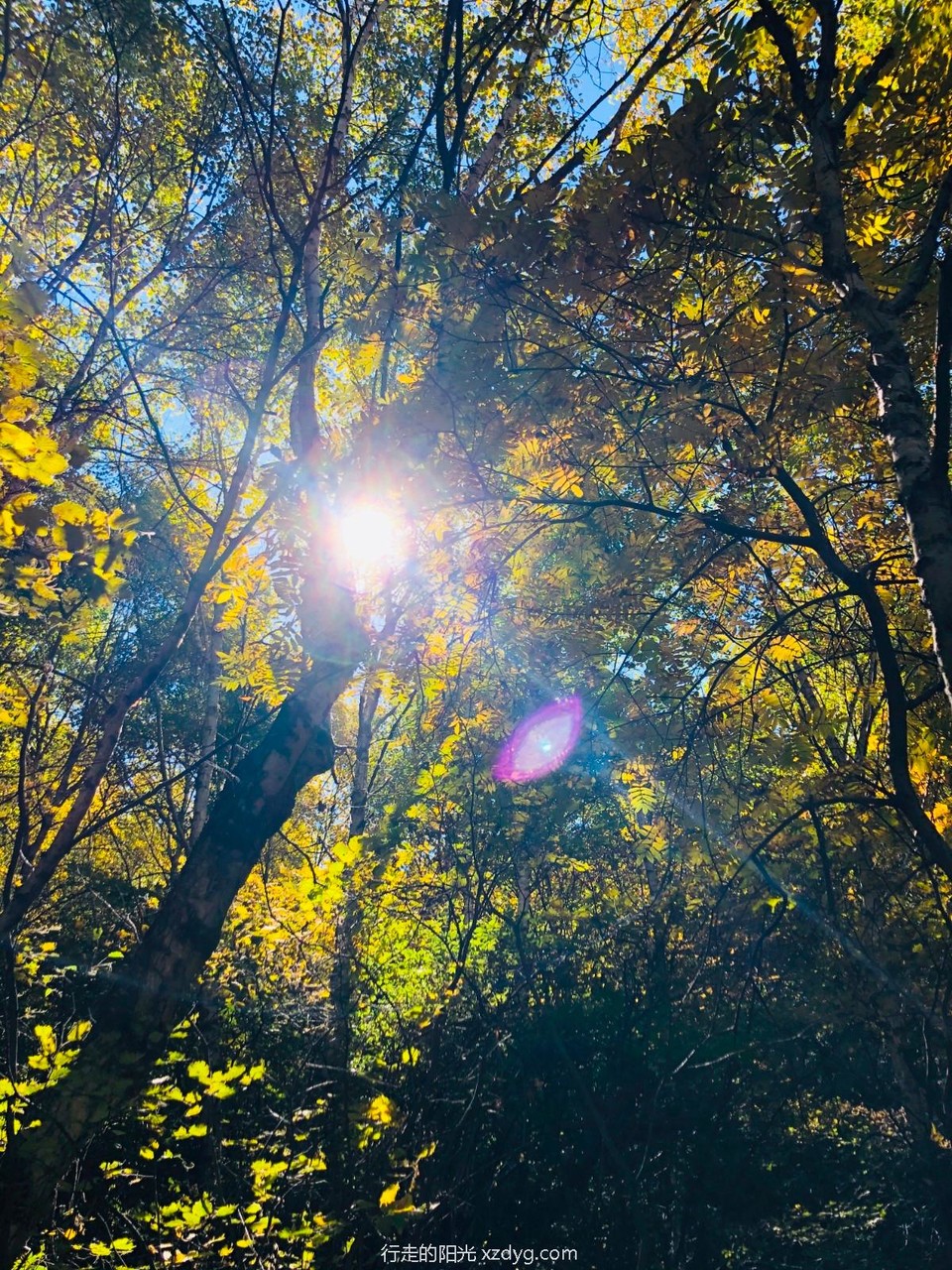 mmexport1600650494431