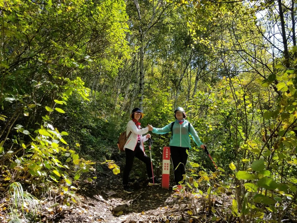 mmexport1600599840370