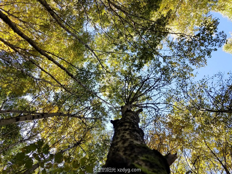 mmexport1600599809350