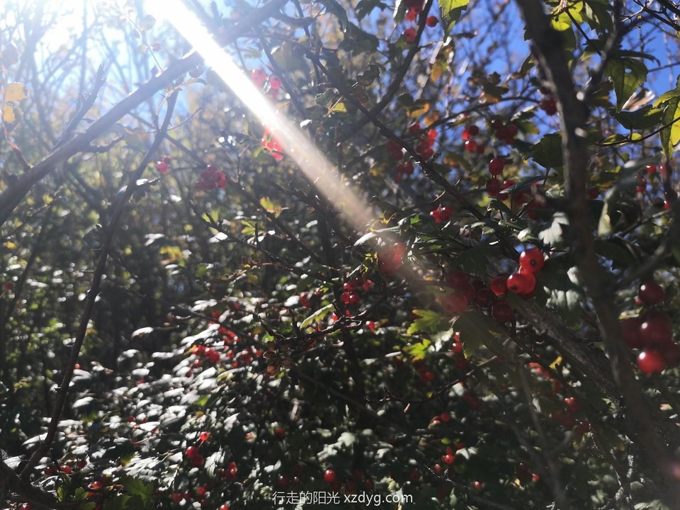 mmexport1600599281238