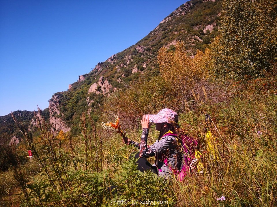 mmexport1600599072747