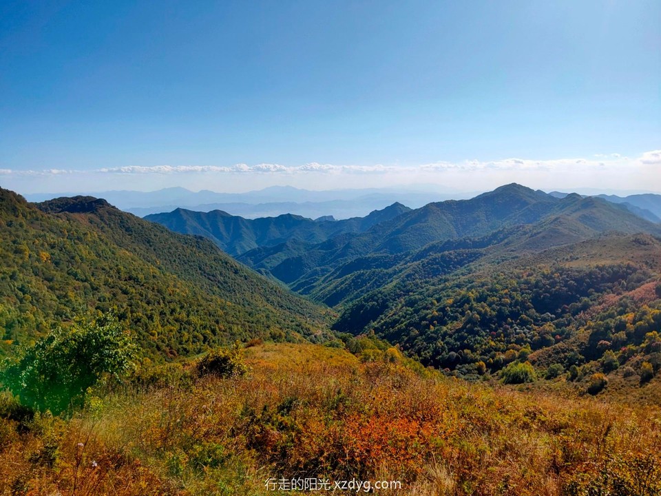 mmexport1600598968879