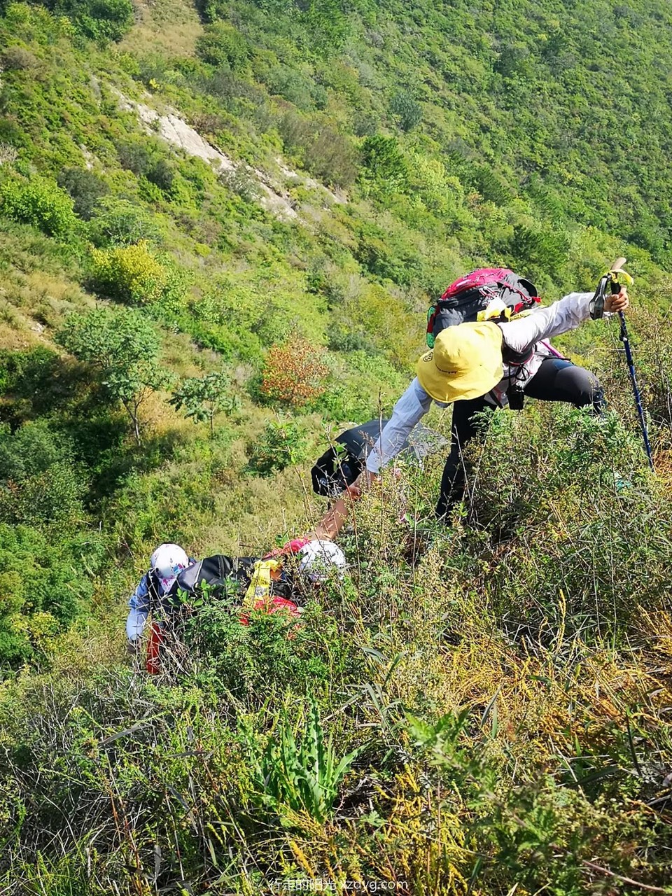 mmexport1601190608589