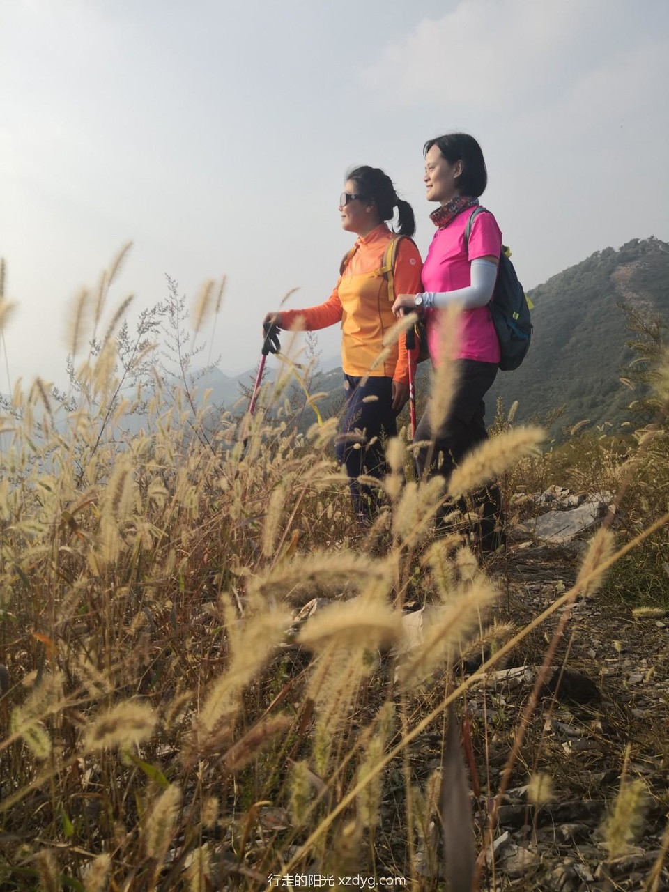 mmexport1601190551017