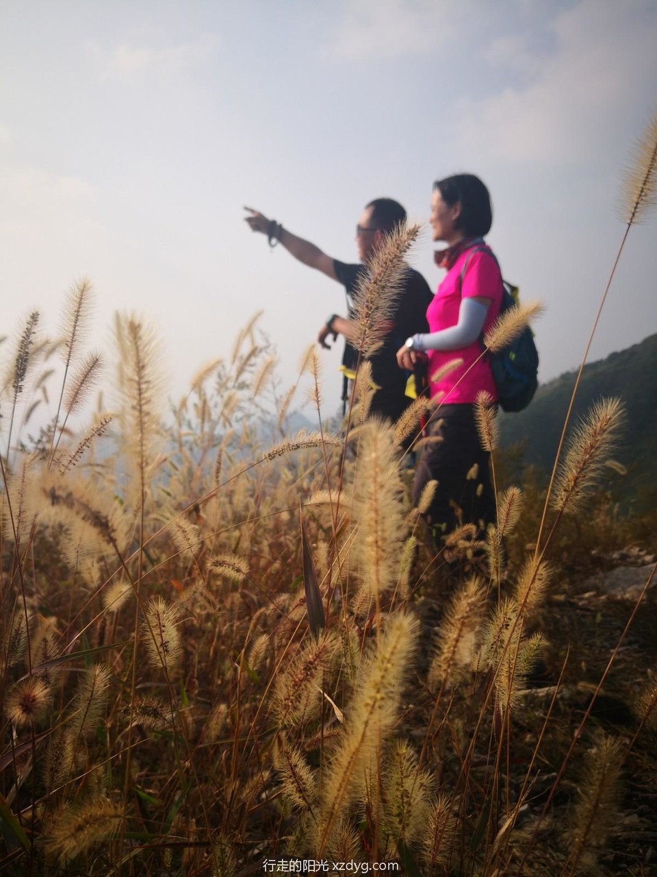 mmexport1601190534847