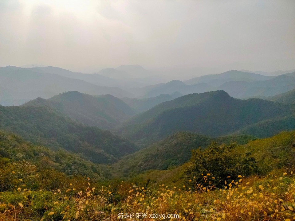 mmexport1601189494275