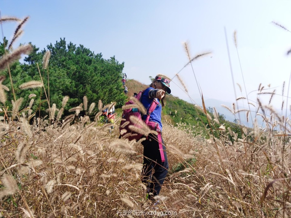 mmexport1601188760656