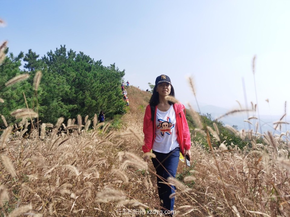 mmexport1601188729453