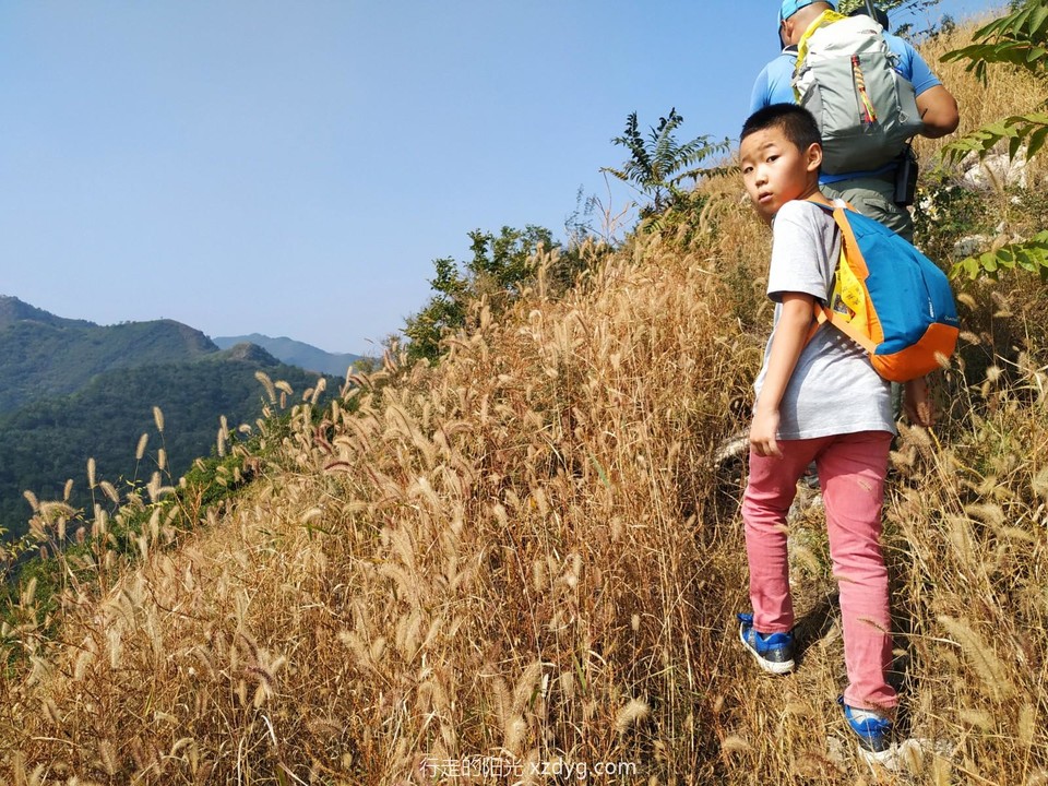 mmexport1601187248148