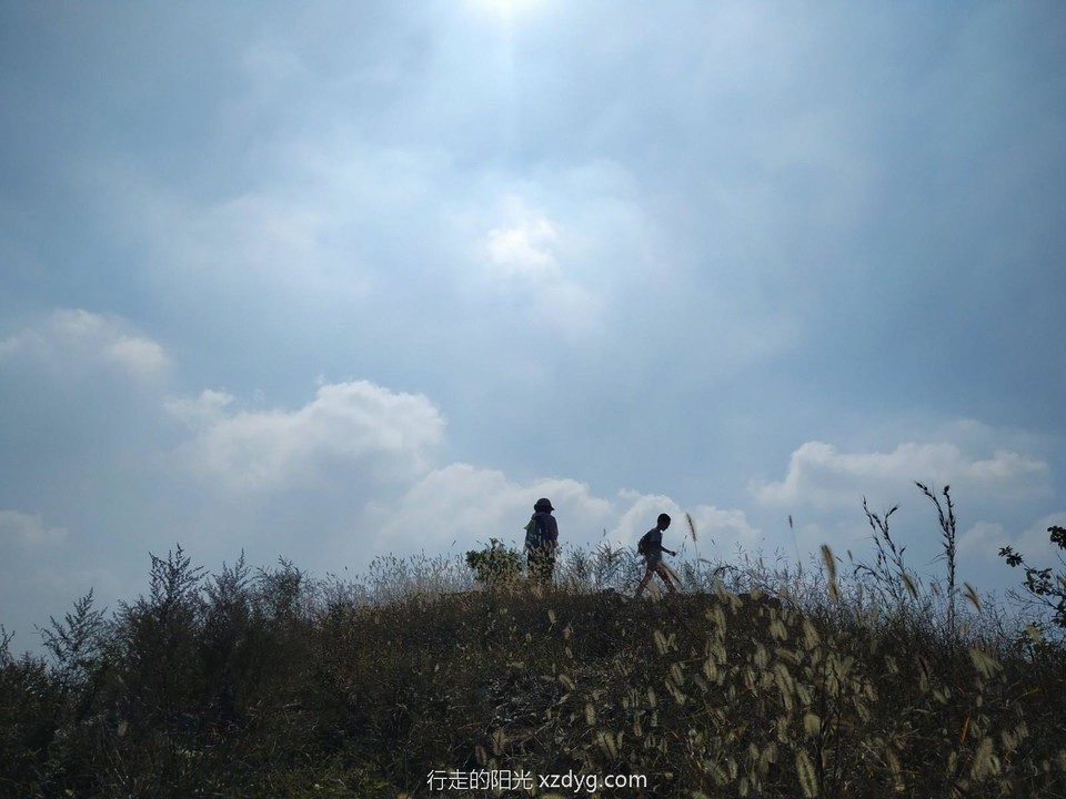 mmexport1601187221172