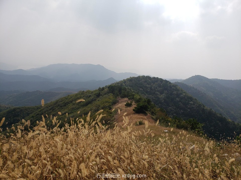 JPEG_20200926_131607_1446863281057830403