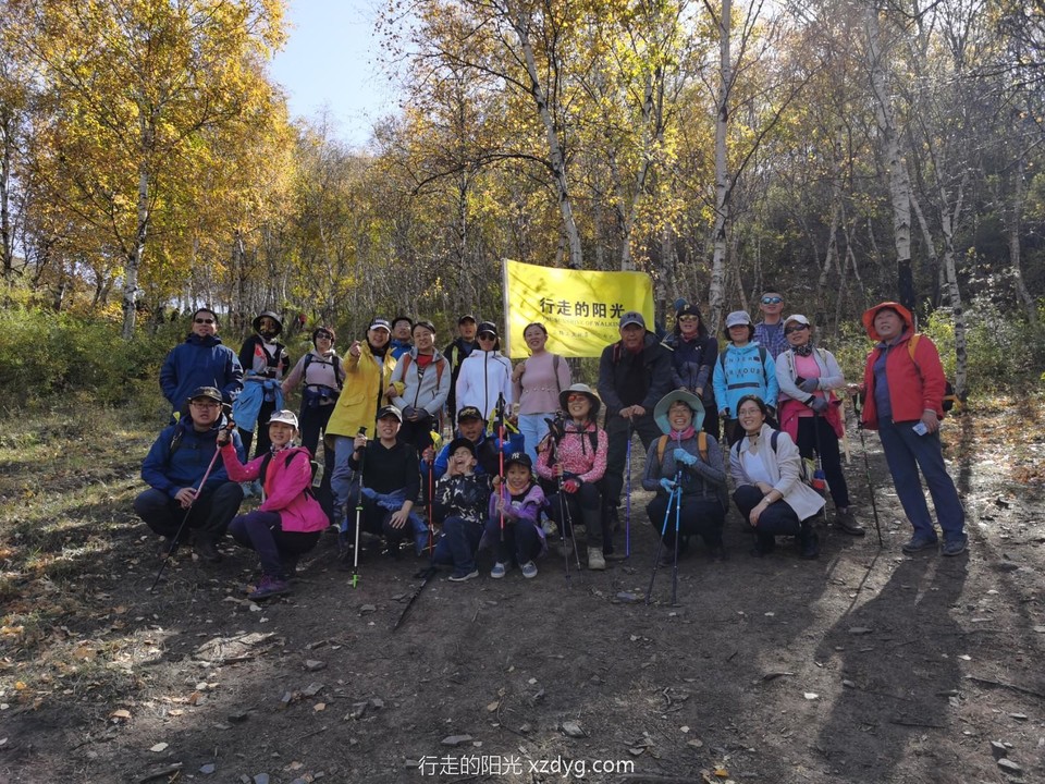 mmexport1601951343886