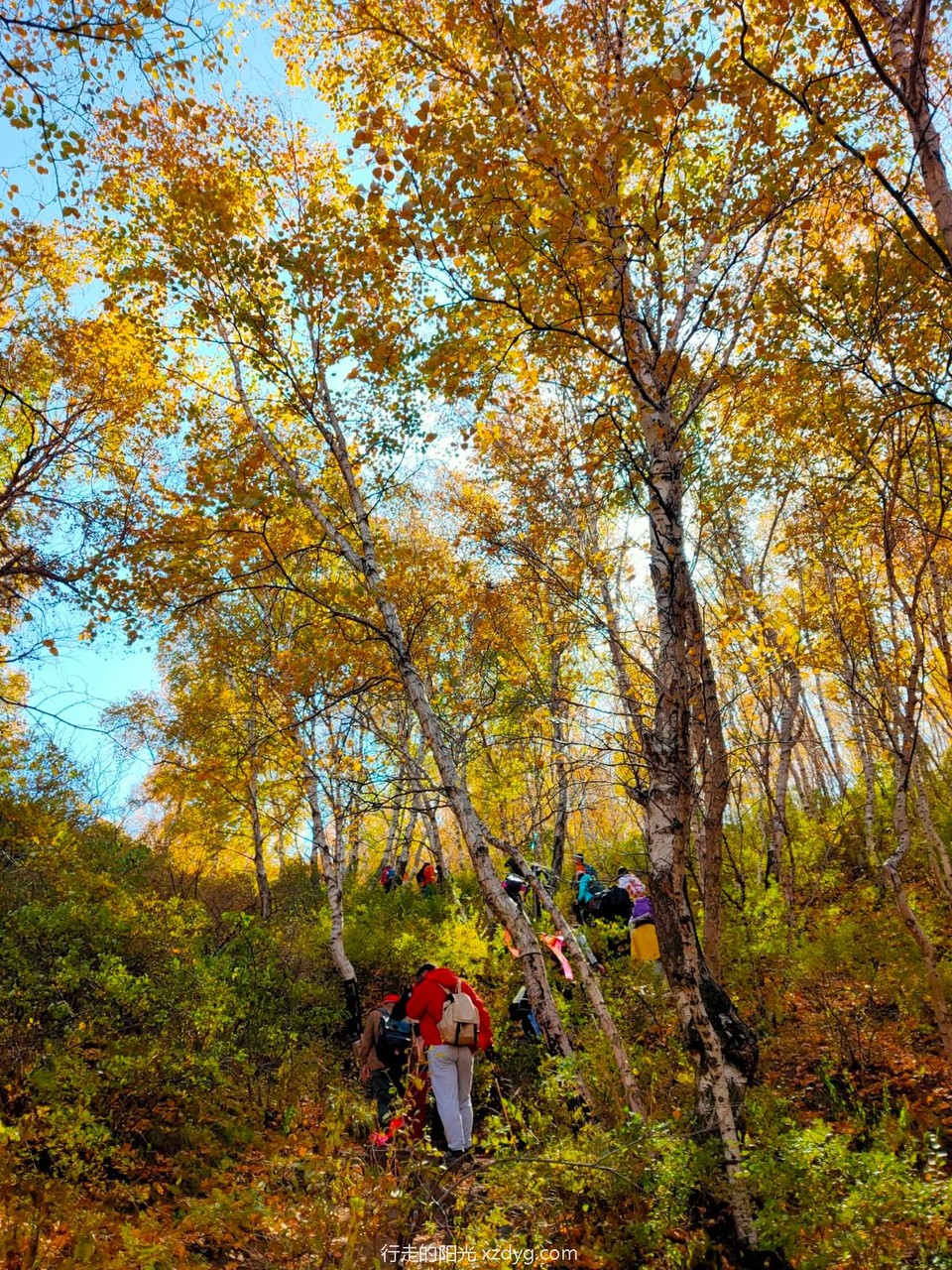 mmexport1601957247695