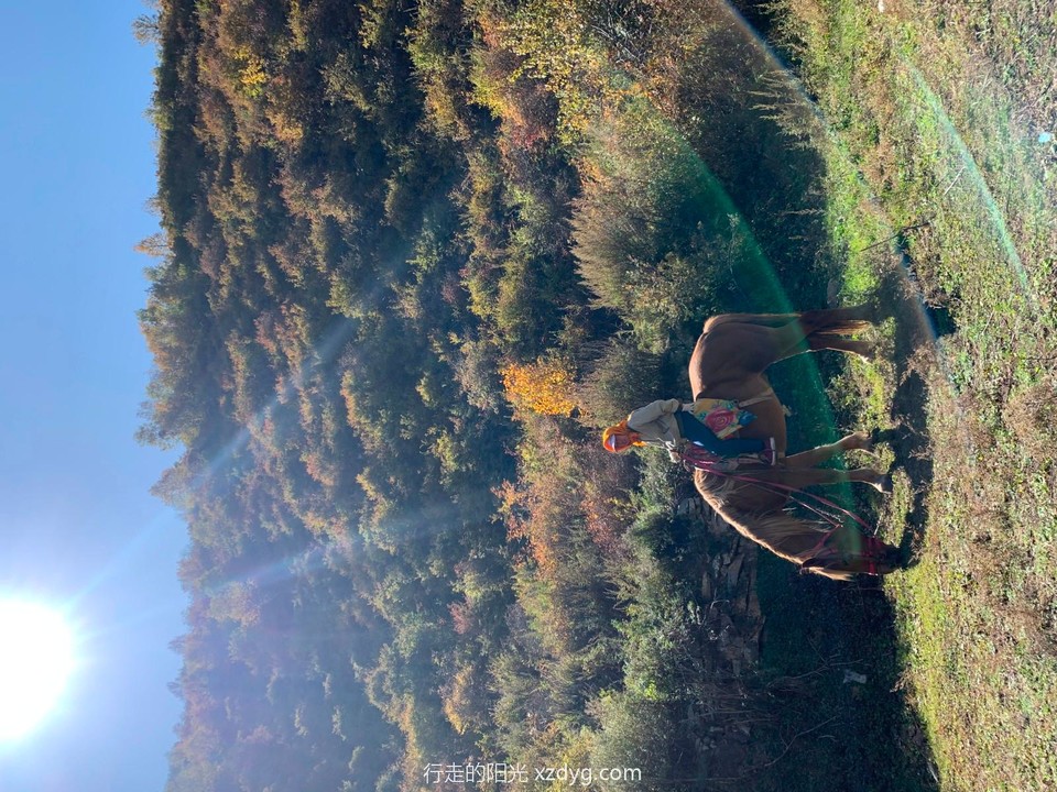 mmexport1601957203436