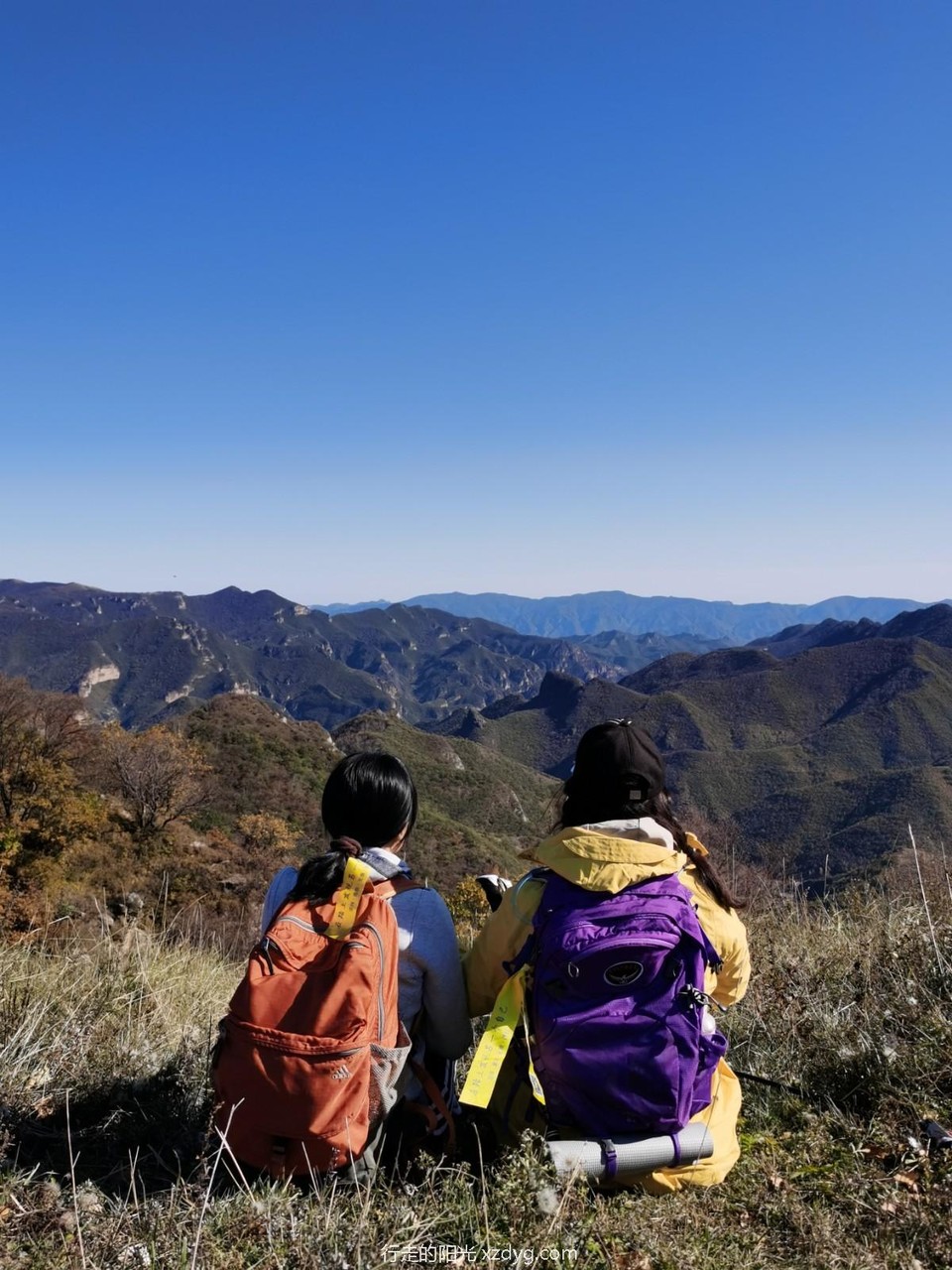 mmexport1601957130877