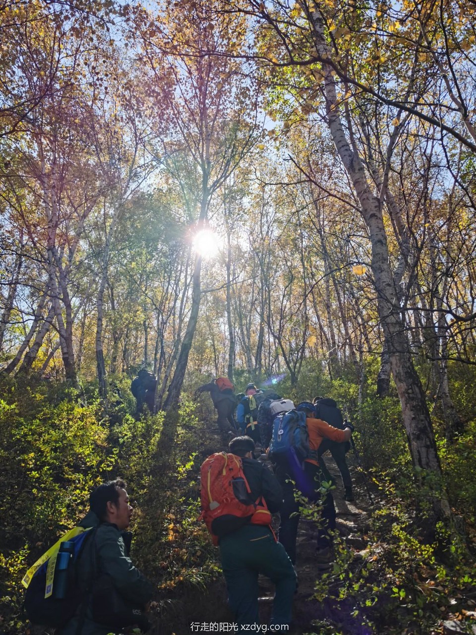 mmexport1601957071653