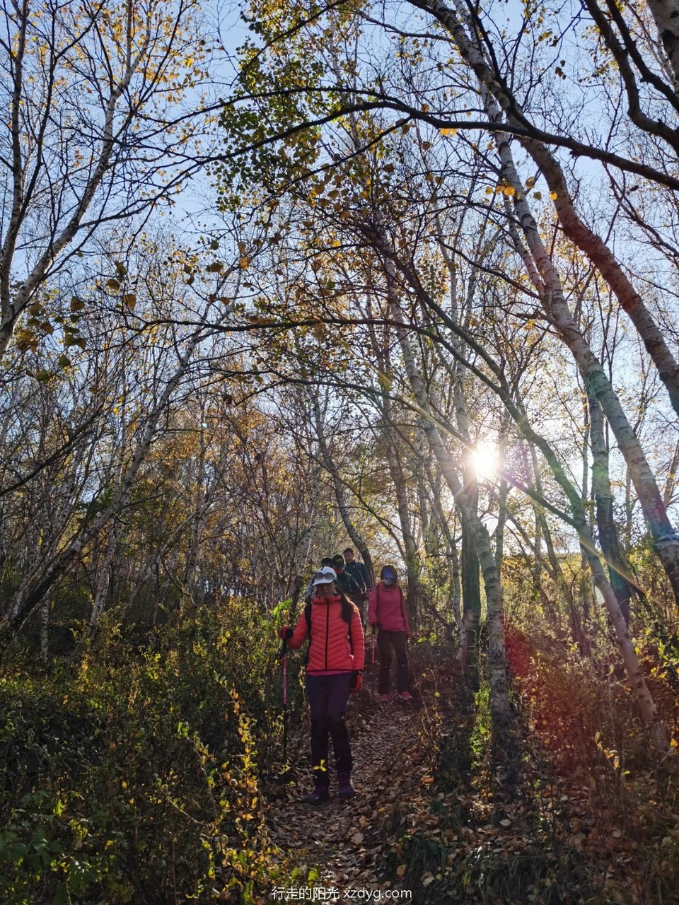 mmexport1601957047579