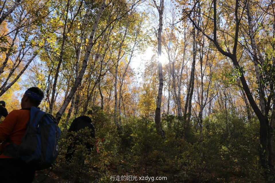 mmexport1601951505476