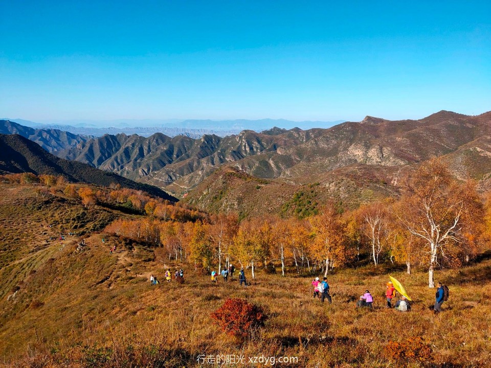 mmexport1601951424787