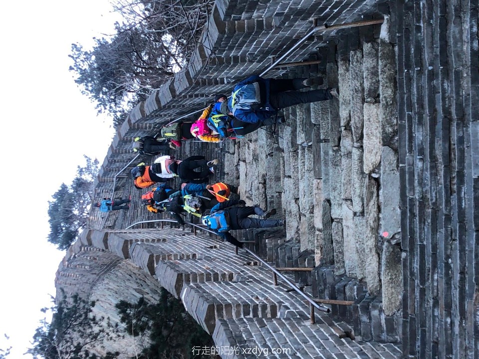 mmexport1608375583611