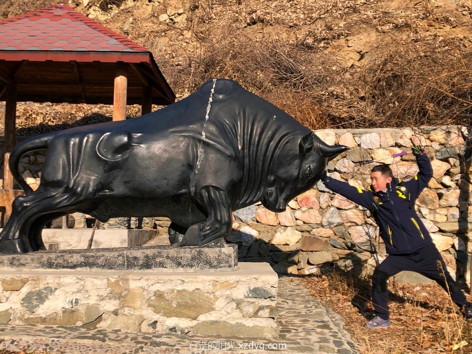 mmexport1608374472033