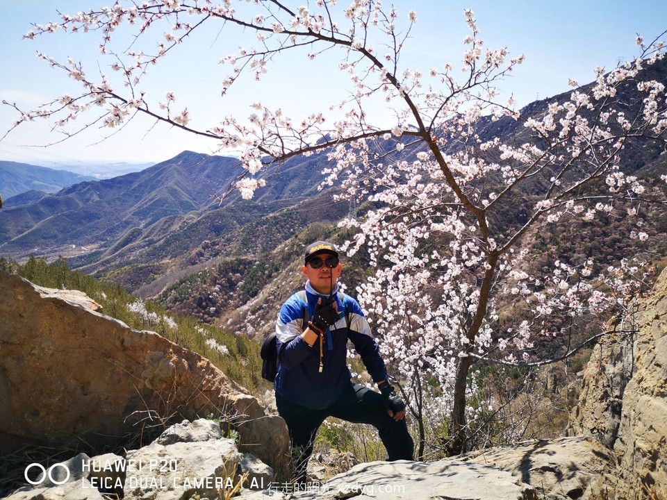 mmexport1617458219534