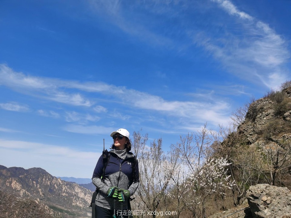 mmexport1617454603883