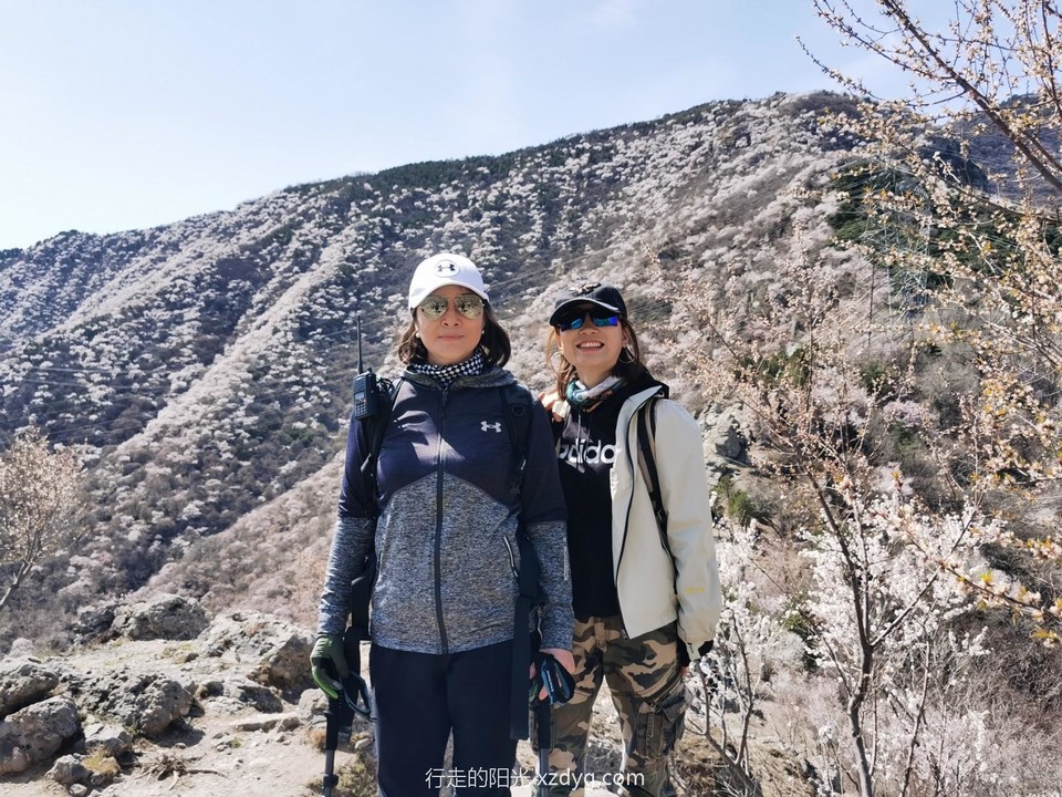 mmexport1617451364062