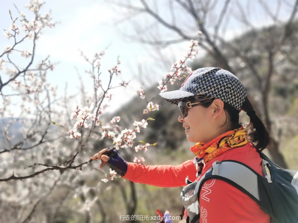 mmexport1617451233654