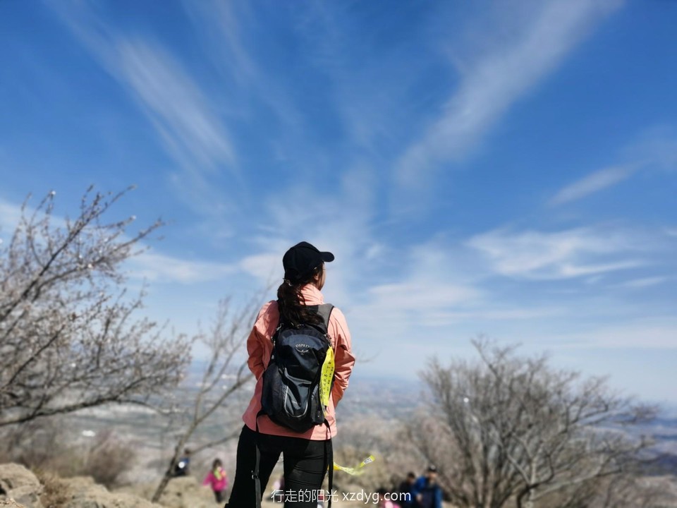 mmexport1617451081563