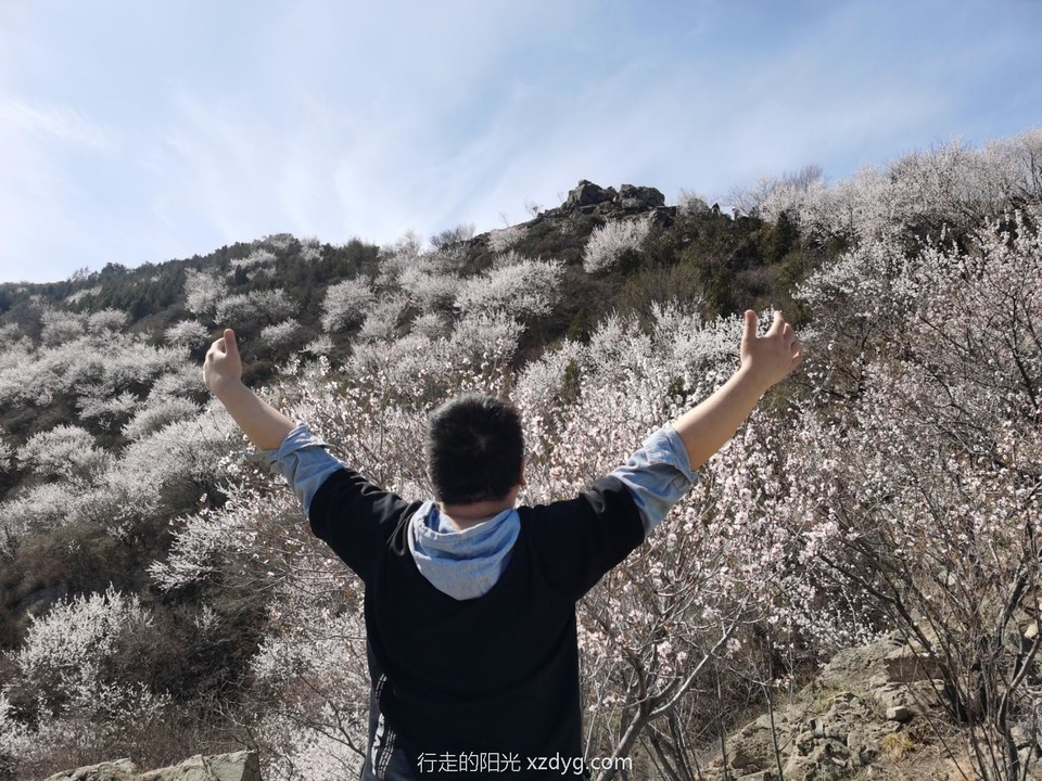 mmexport1617450947102