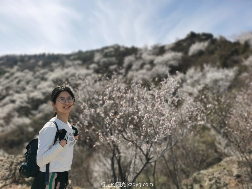 mmexport1617450918843