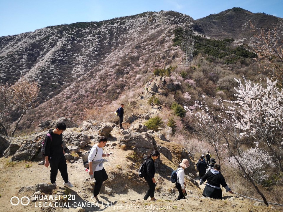 mmexport1617450341628