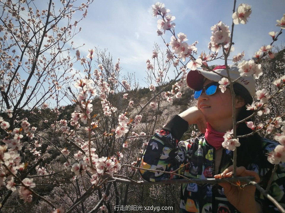 mmexport1617460853182