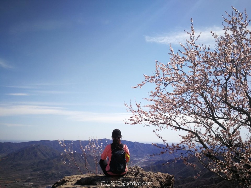 mmexport1617460786680