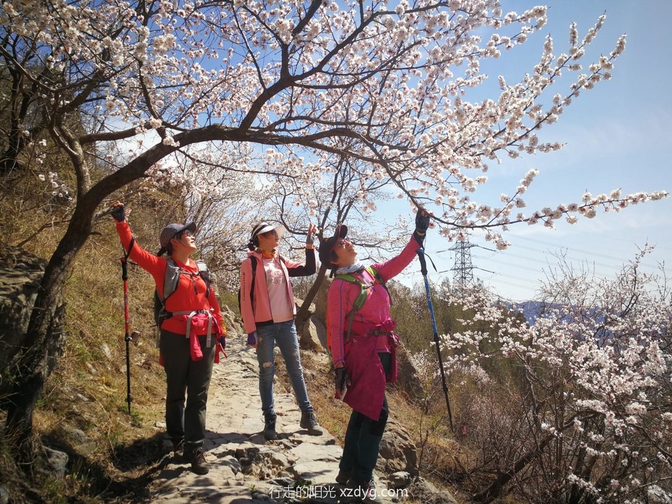 mmexport1617460706967