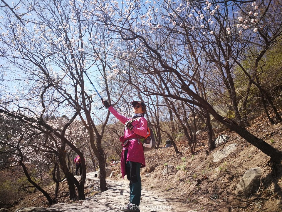 mmexport1617460680481