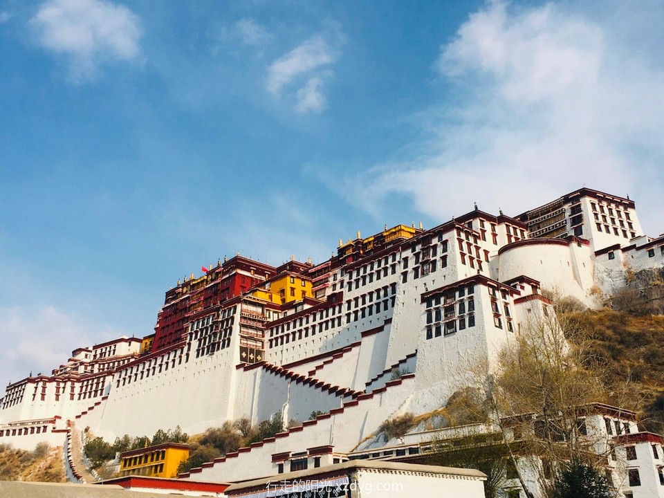 mmexport1618066585979