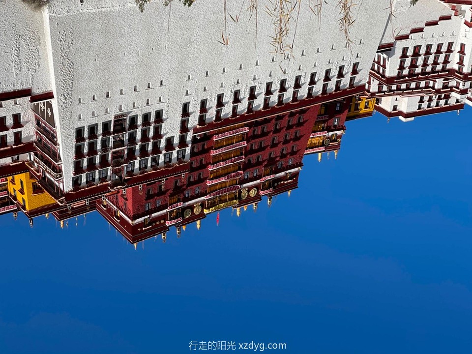 mmexport1618066278254