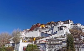 mmexport1618066076628