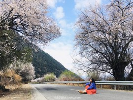 mmexport1618204867435