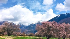 mmexport1618204806538