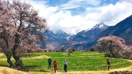 mmexport1618204803628