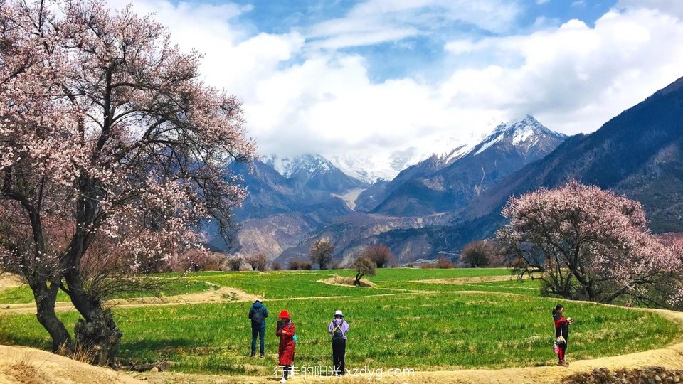 mmexport1618204803628