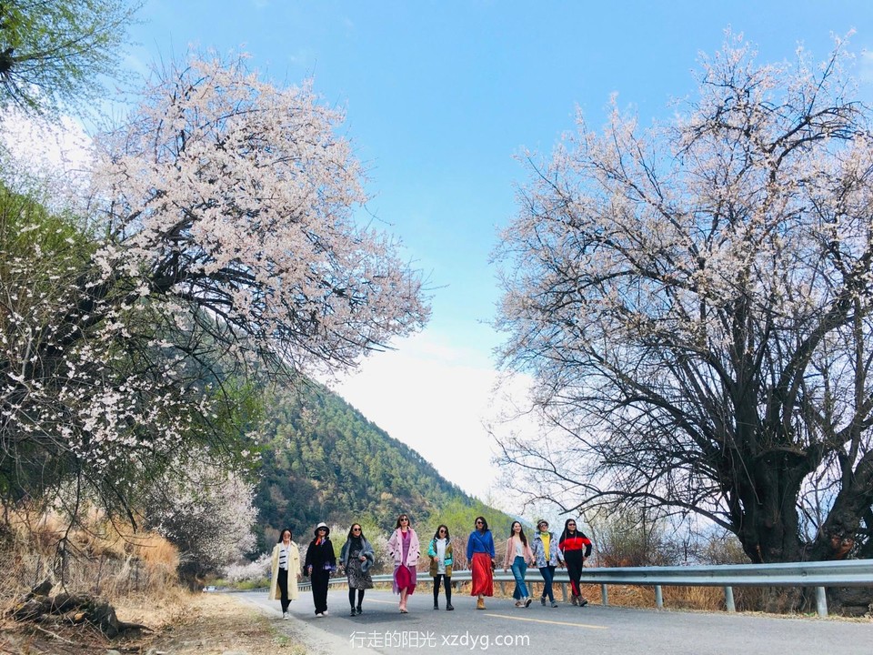 mmexport1618188393997