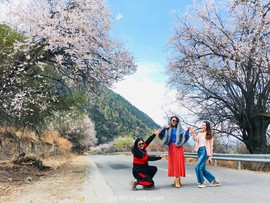 mmexport1618188368045