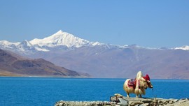 mmexport1618134261731