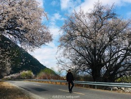 mmexport1618201605918